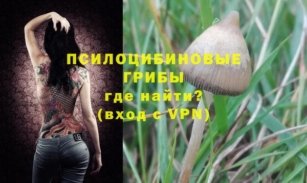 бошки Киренск
