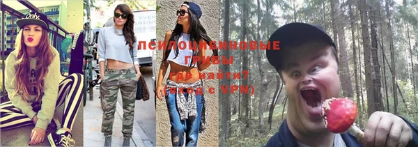 синтетический гашиш Кинешма
