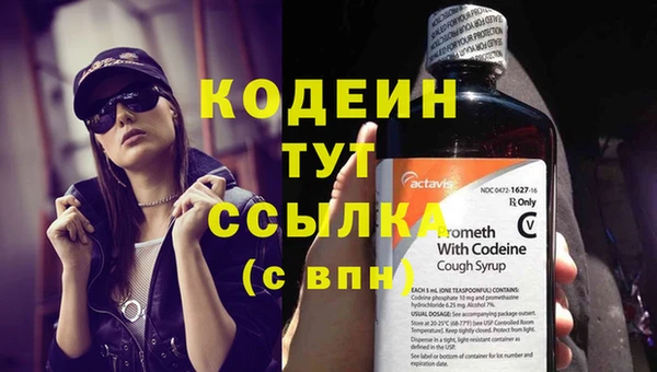 mdpv Кодинск